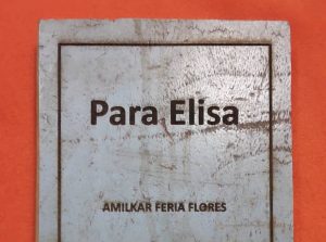 Para Elisa