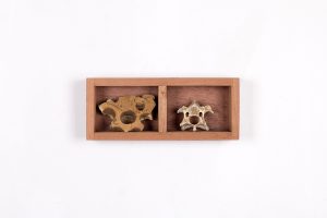 Lógicas de recolección y archivo en el arte cubano actual
