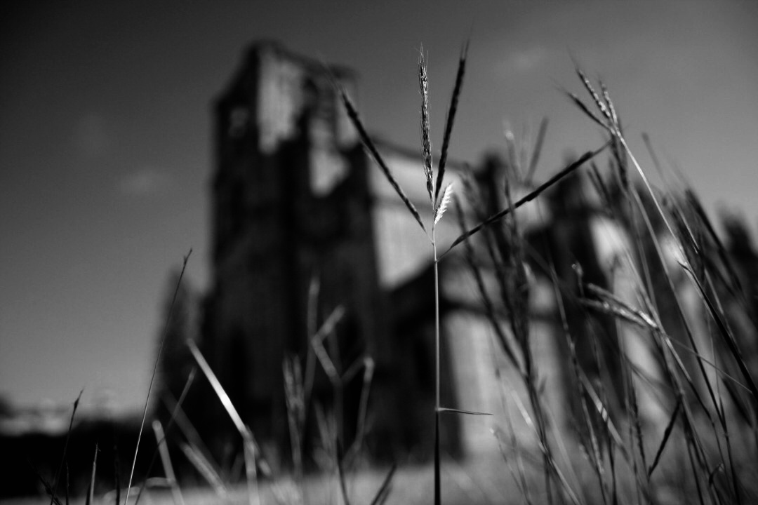 El Milagro del Templo