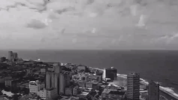 2020: el año de Ánima en ocho videos